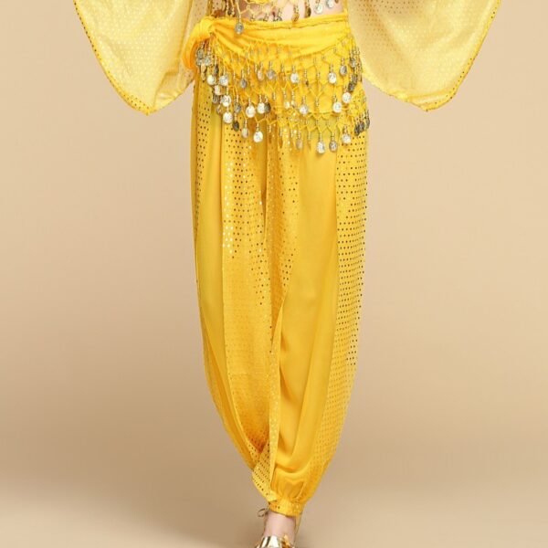 Indian Dance Sequined Bloomers for Women – Vibrant & Comfortable Belly Dance Wear