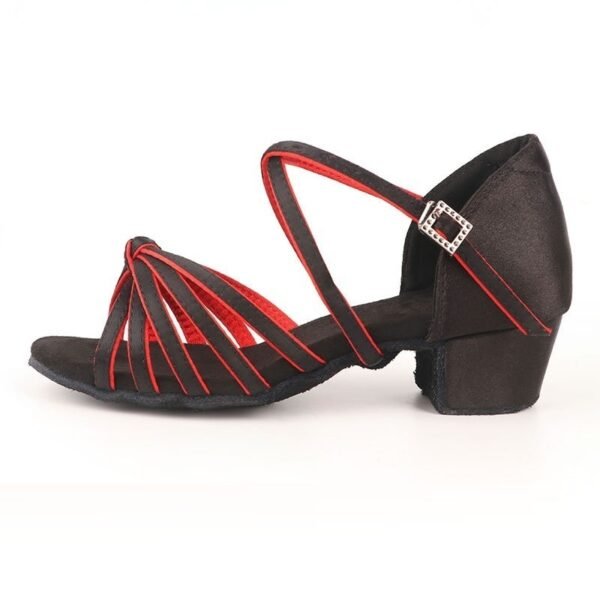 Women's Latin Dance Shoes – Lightweight Silk Upper Professional Ballroom Practice Heels